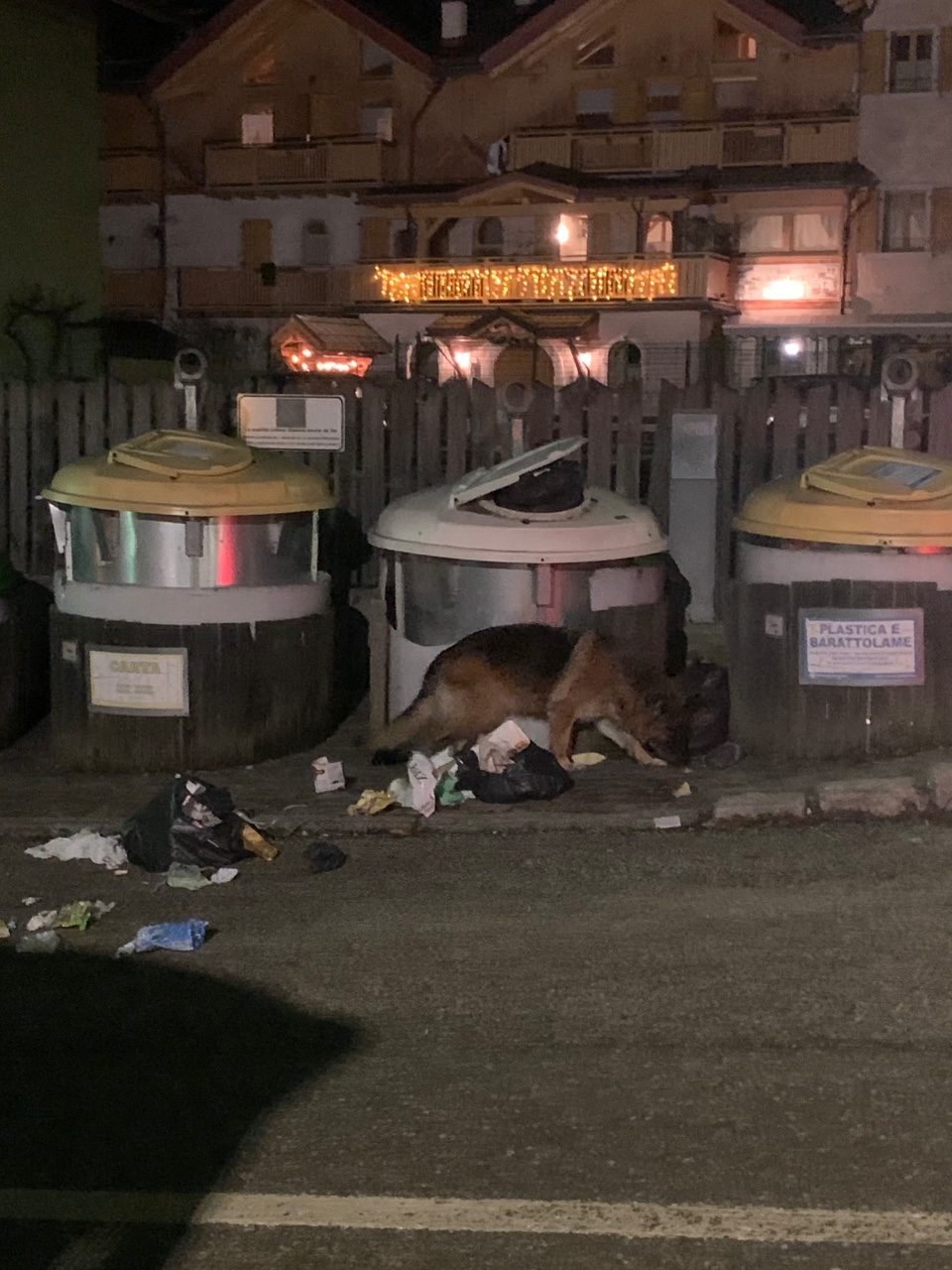 Un’immagine non proprio edificante