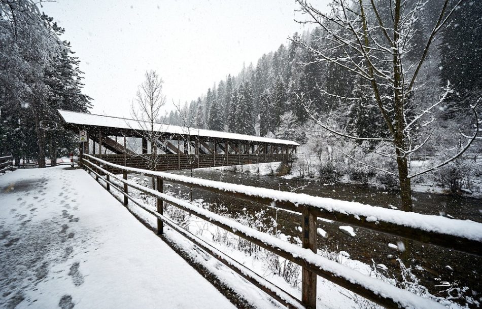 Pinzolo - Pineta