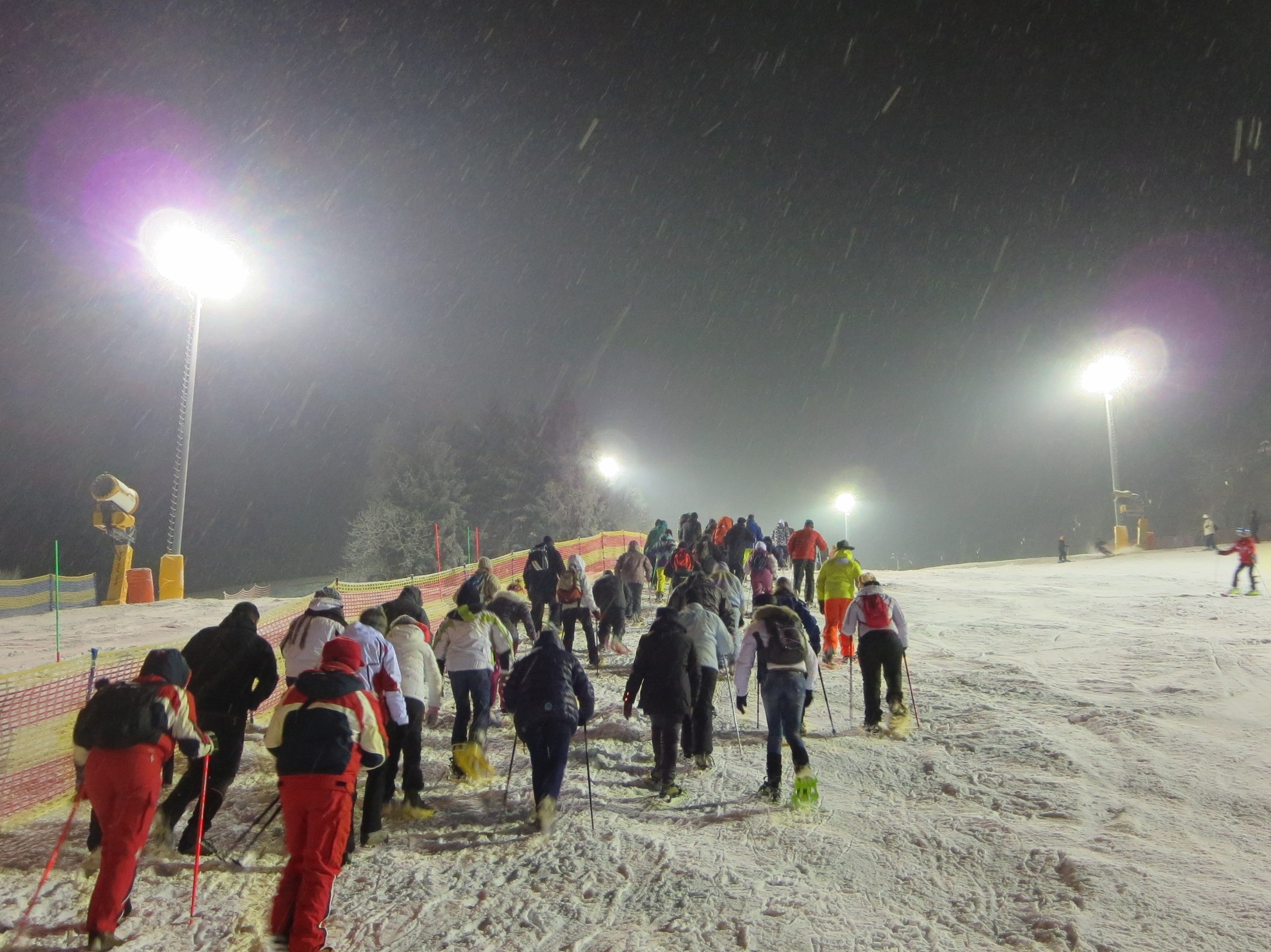 Edizione 2020 di Ciaspolares