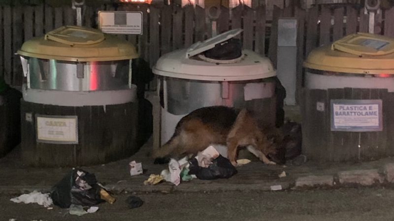 Un’immagine non proprio edificante