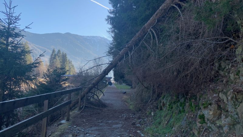 La triste storia della ciclabile di Pinzolo