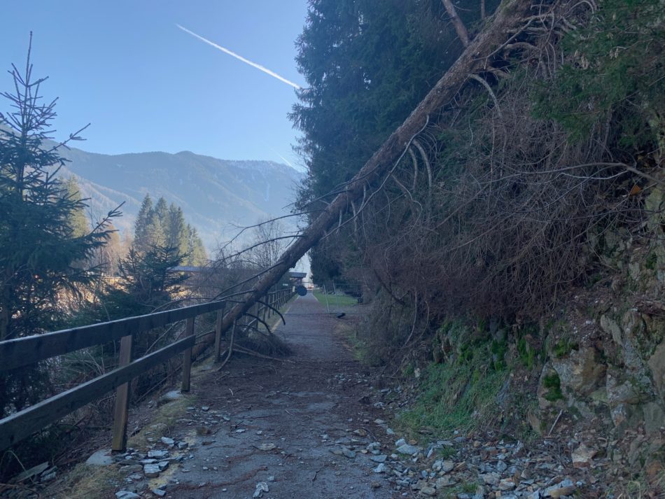 La triste storia della ciclabile di Pinzolo