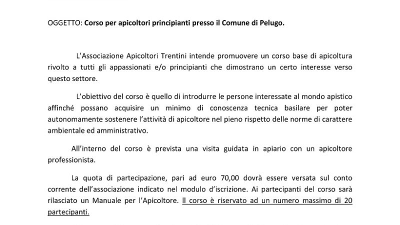 Corso per apicoltori principianti presso il Comune di Pelugo