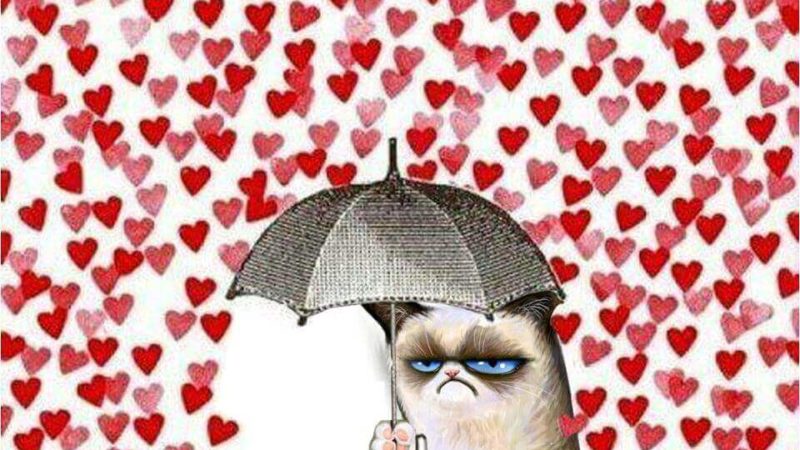 Dopo san Valentino, il giorno dedicato agli innamorati e all’amore, tocca oggi a san Faustino, patrono di Brescia e protettore dei single