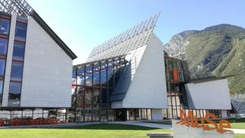 Coronavirus: musei provinciali chiusi al pubblico a partire da oggi. Chiuse anche le biblioteche