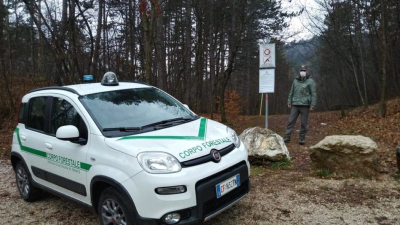 Coronavirus: sentieri e taglio legna vietati – Forestali attivati per i controlli