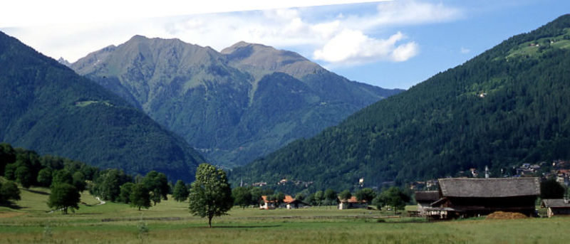 Non solo corona virus… Marz  – Dalla raccolta “A spas cul can” di Anna Turri