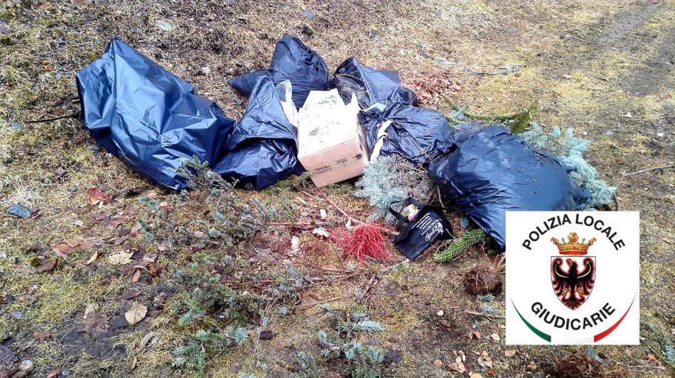 Caderzone Terme: rifiuti abbandonati in pineta individuato il trasgressore