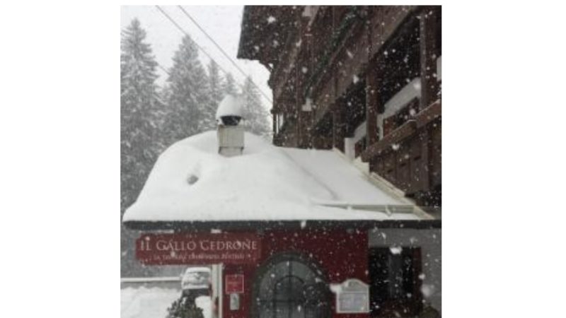 L’inverno 2020 termina in modo inaspettato e triste e il Gallo Cedrone chiude…