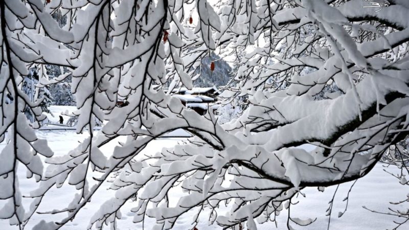 Il Sistema di allerta provinciale del Servizio prevenzione rischi: sono previste precipitazioni intense e abbondanti