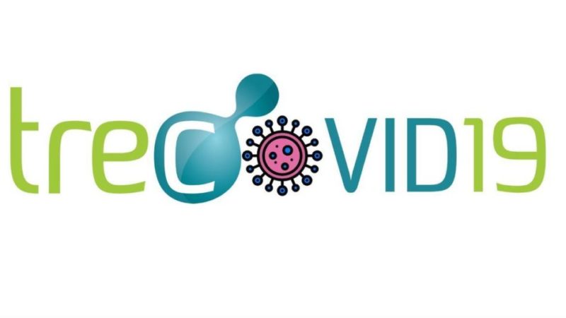 Coronavirus: nelle ultime 24 ore 17 decessi e 104 nuovi casi