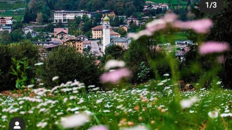 Non sono una lavoratrice indispensabile. Non sono un’infermiera, non guido un’ambulanza…