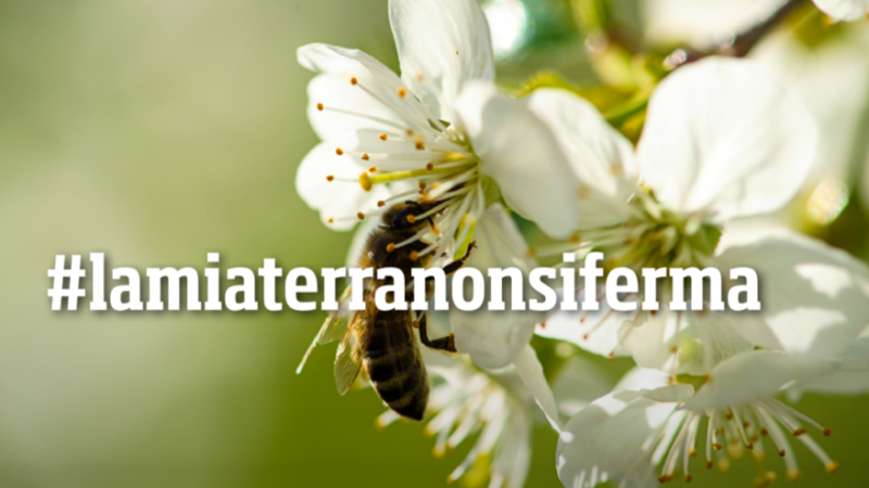 Al via la campagna #lamiaterranonsiferma