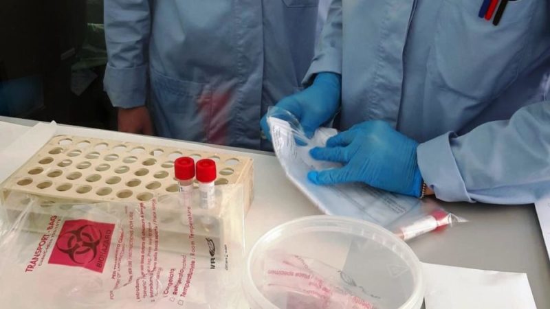 Il presidente Fugatti: “Si lavora per una fase 2 calibrata sul Trentino”