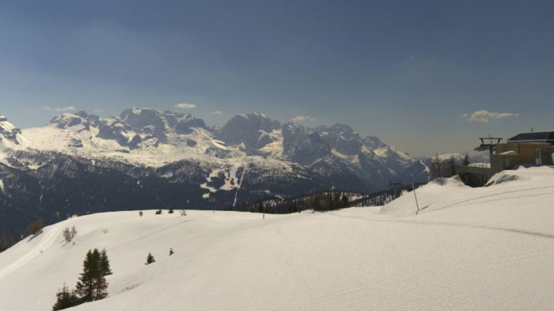 Smentito clamorosamente anche il detto tradizionale: Sole sugli ulivi, acqua sulle uova…