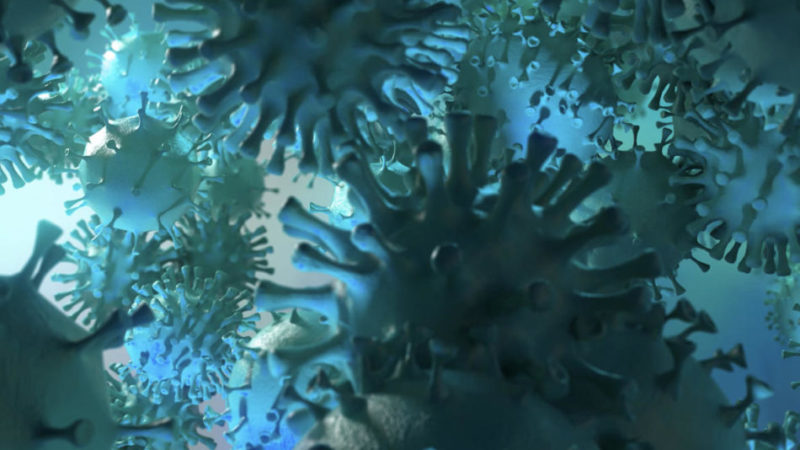 Coronavirus: nessun decesso, altri 5 contagi