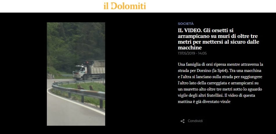 IlDolomiti - 17 maggio 2019