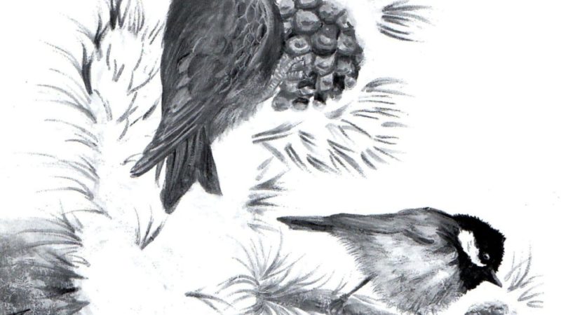 Il maestro Pio recita Mac’, di Carlo Antoniolli Bagat