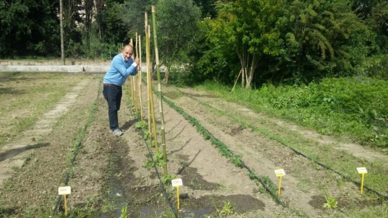 Agraria.org e Marco Salvaterra: Storie trentine | Agricoltura e informazione…