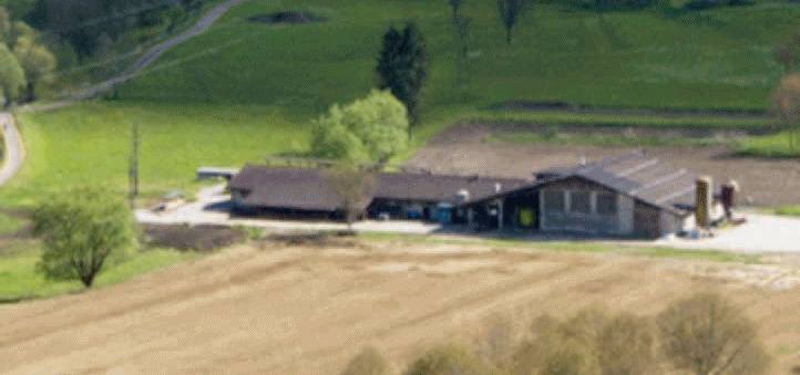 La replica della minoranza consiliare di Pelugo