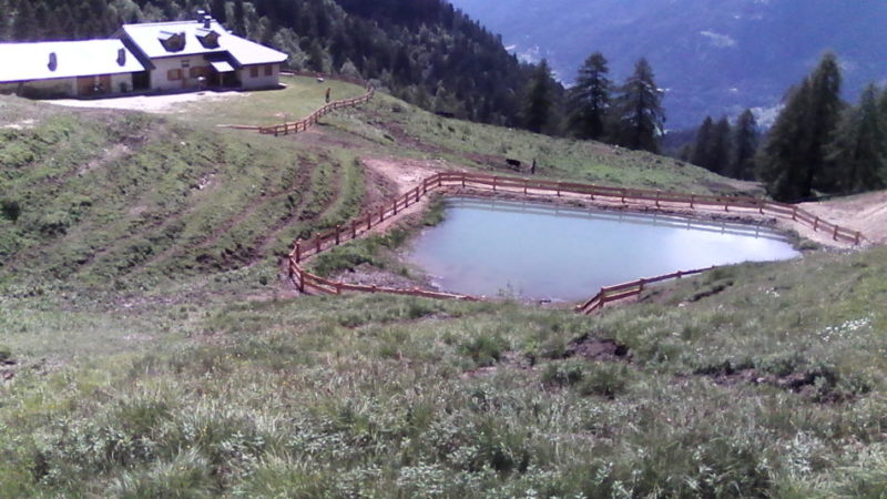 Completati i lavori di recupero habitat alla malga “Bregn da l’Ors”