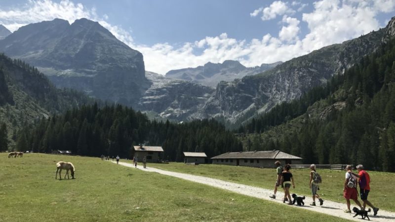 Libertà, spazi aperti e rispetto: le parole magiche dell’edizione 2020 di “Un’estate da Parco”