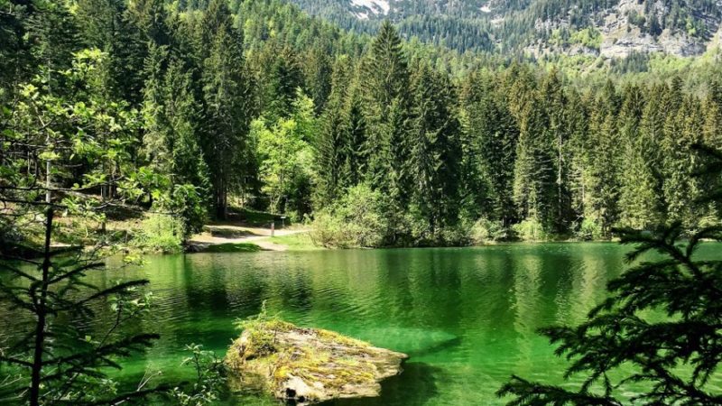 A TUENNO LA MOSTRA DEL PARCO “MONTAGNE VERDI” – La natura in viaggio –