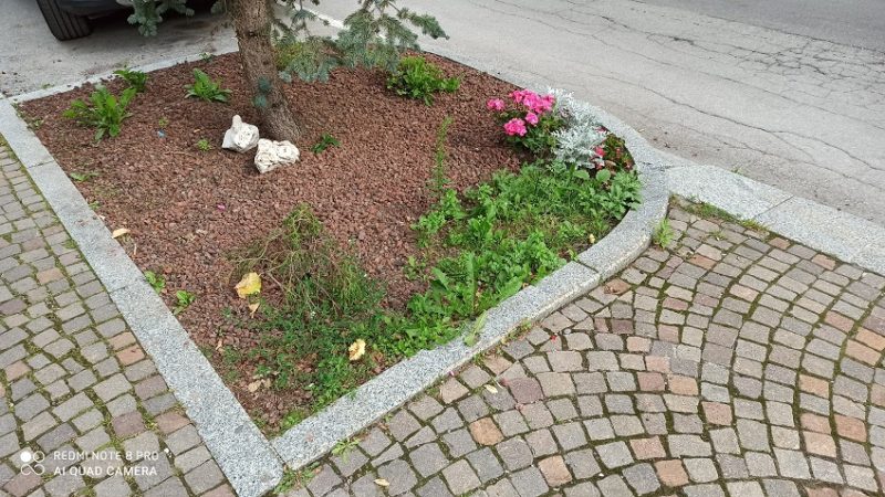 Troppe erbacce nelle aiuole di via Marconi