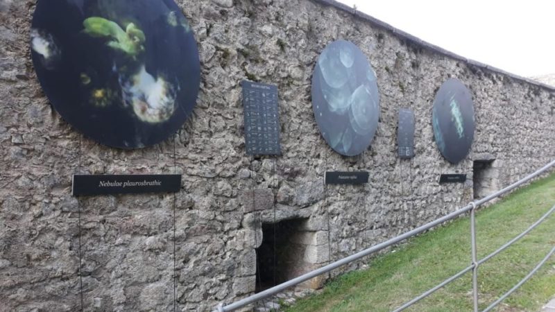 Dal 25 luglio al 1° novembre la mostra di Mandy Barker sarà esposta in diversi sedi