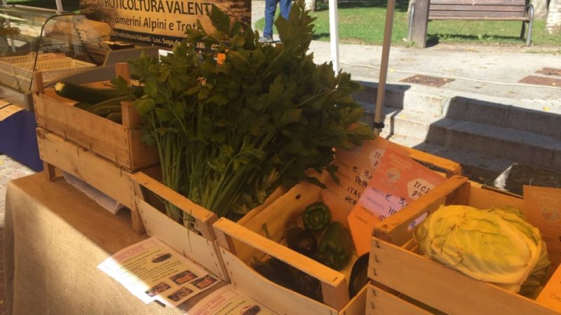 A Tione di Trento cibo sano e di qualità…… a Km 0!