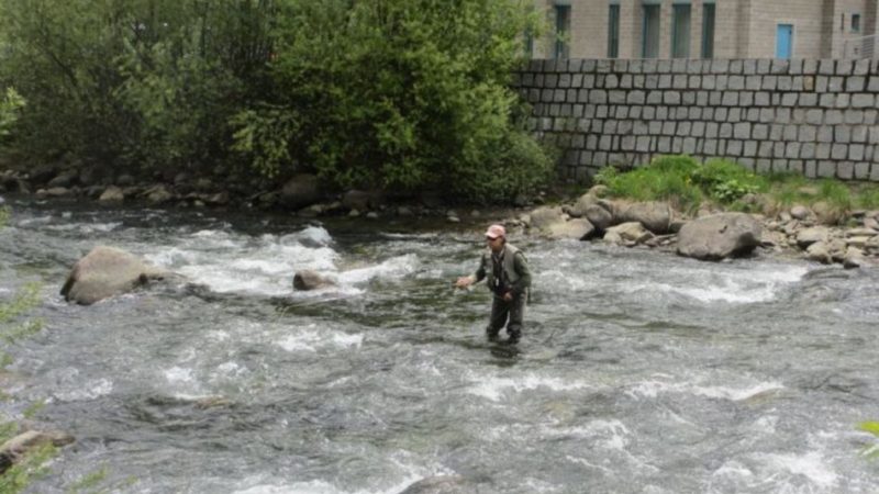 221 partecipanti al primo corso online di abilitazione alla pesca, si replica il 13 luglio