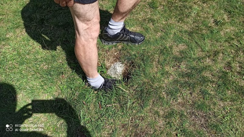 Buche da ricoprire nel prato a lato della ciclabile tra Pinzolo e Caderzone