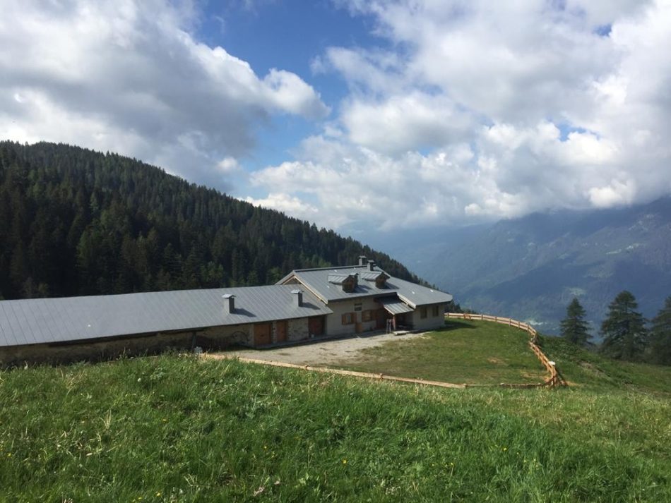 Malghe Bandalors e Valina d’Amola: pubblicati i bandi per le stagioni 2021-2026