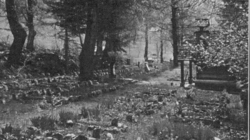 A proposito del cimitero ai Campicioi: un accorato appello di Giuseppe Ciaghi