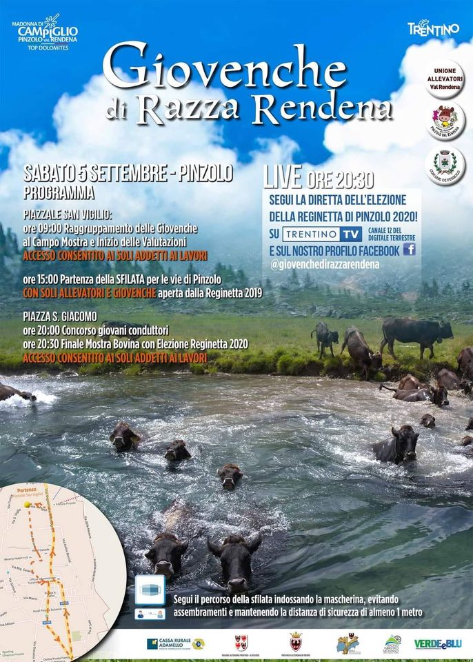 5 settembre – Sfilata Giovenche di razza Rendena. Anche online!