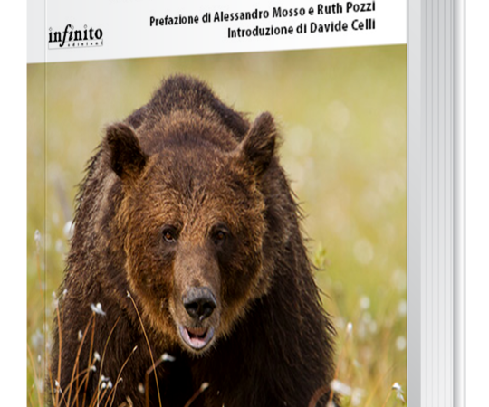 L’orso non è invitato – gli animali, l’uomo, la scomparsa della biodiversità sulla Terra”