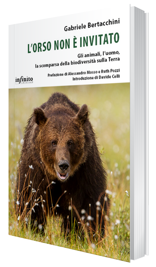 L’orso non è invitato – gli animali, l’uomo, la scomparsa della biodiversità sulla Terra”