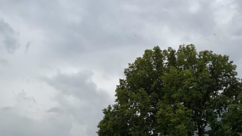 Attenzione ai temporali: allerta (gialla) della protezione civile