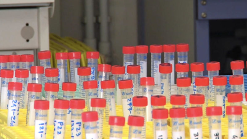 Aggiornamento situazione Coronavirus in Trentino – 27 settembre 2020: altri 42 casi positivi