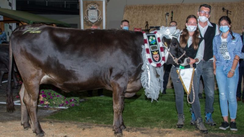 Giovenche in sfilata: la Reginetta 2020 è Tato Emanuela