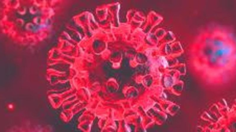 Aggiornamento situazione Coronavirus in Trentino – 16 settembre 2020: 33 nuovi positivi, primi casi nelle scuole