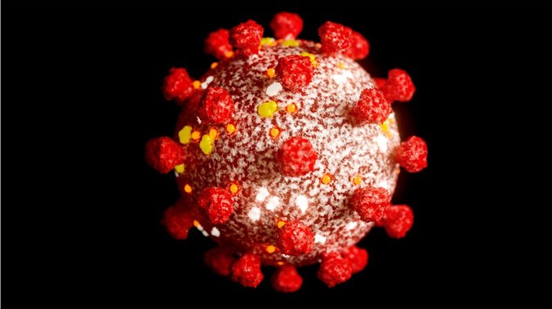 Aggiornamento situazione Coronavirus in Trentino – 11 ottobre 2020: 39 nuovi contagi, altri 12 positivi all’antigene, 25 i ricoveri
