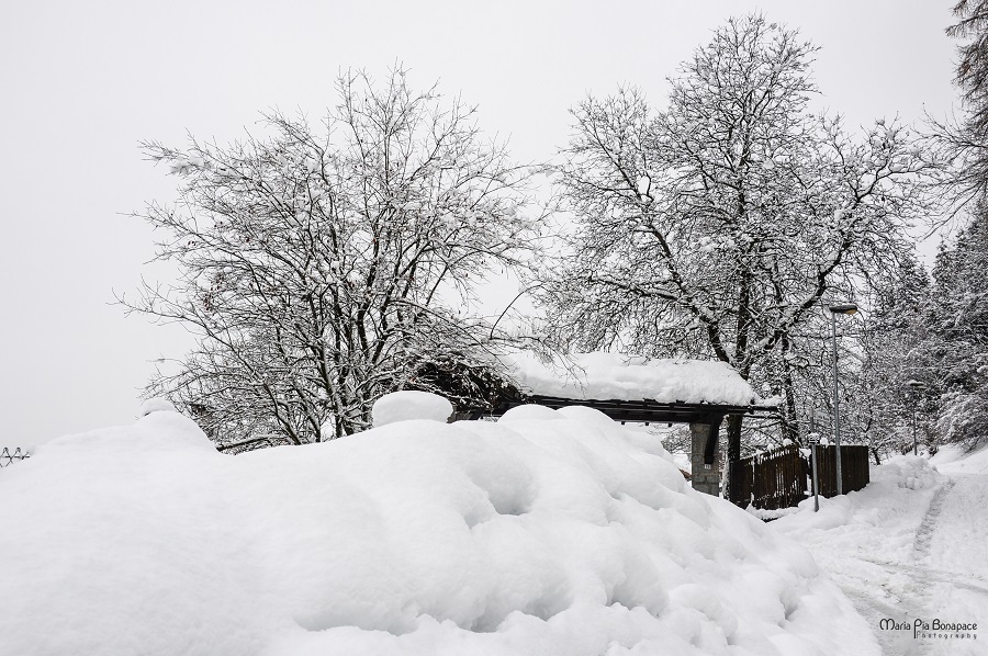 Pinzolo, 8 dicembre 2020