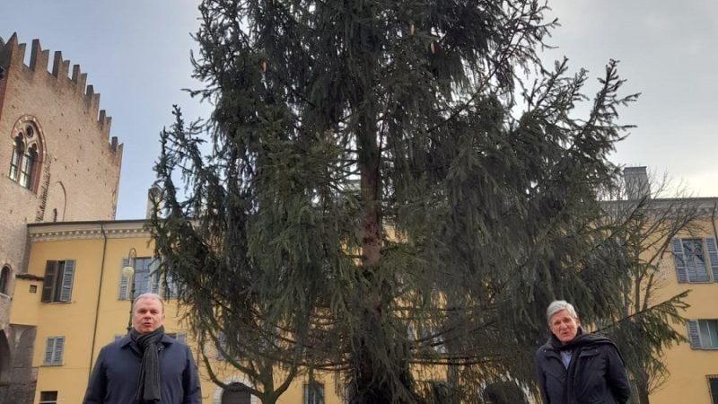 La Comunità di Pinzolo ha donato a Mantova un magnifico albero di Natale