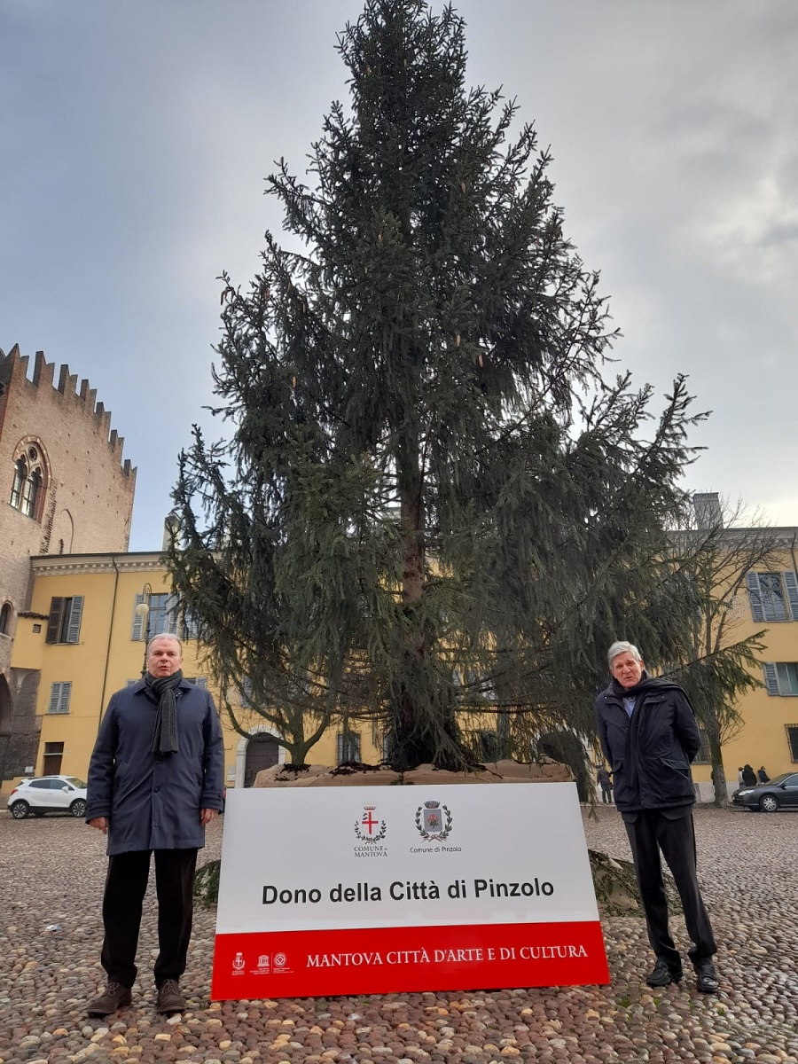 La Comunità di Pinzolo ha donato a Mantova un magnifico albero di Natale