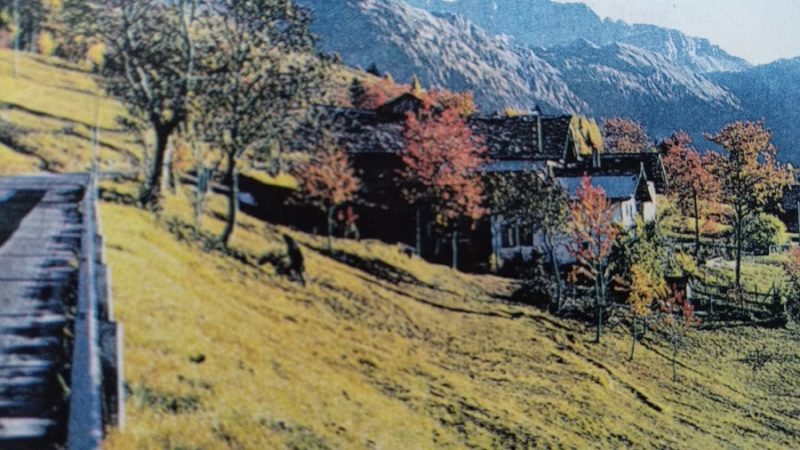 “Una vita”: Cara mamma Colomba…