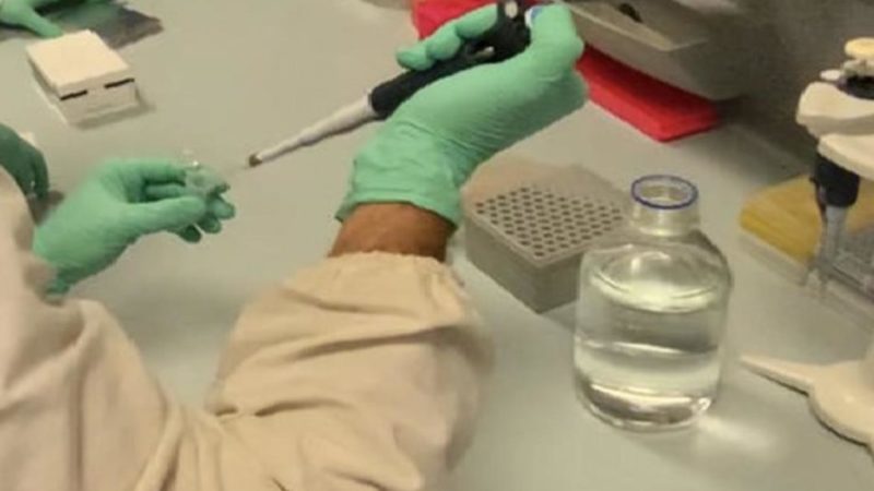 7 decessi, 50 nuovi positivi al molecolare, 107 all’antigenico