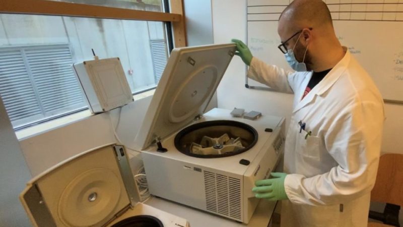 7 nuovi decessi, altri 58 positivi al molecolare e 128 all’antigenico. 100 guariti in più Quasi 10.500 vaccinazioni. 3.500 tamponi