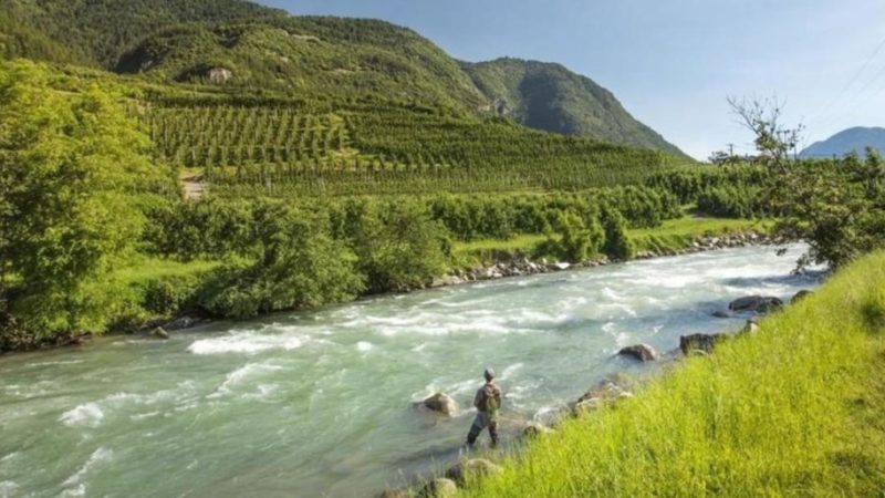 Pesca: un nuovo regolamento provinciale per aggiornare la materia