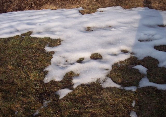 Martedì prossimo lo zero termico sarà a 3.100 metri di quota